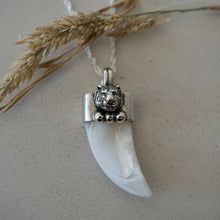 Cargar imagen en el visor de la galería, Colmillo Tiger Queen